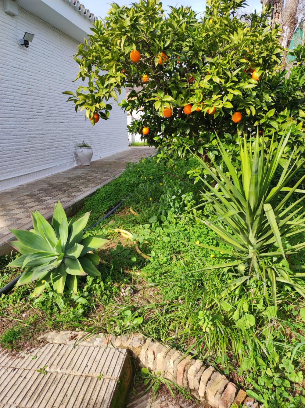  for sale villa Alcalá De Guadaira Metropolitana De Sevilla 11