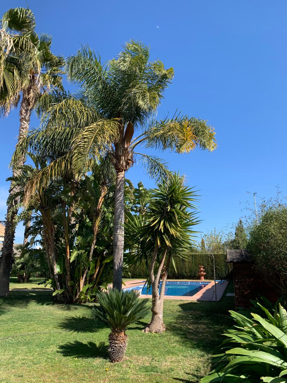 for sale villa San Antonio De Benagéber Camp De Túria 3