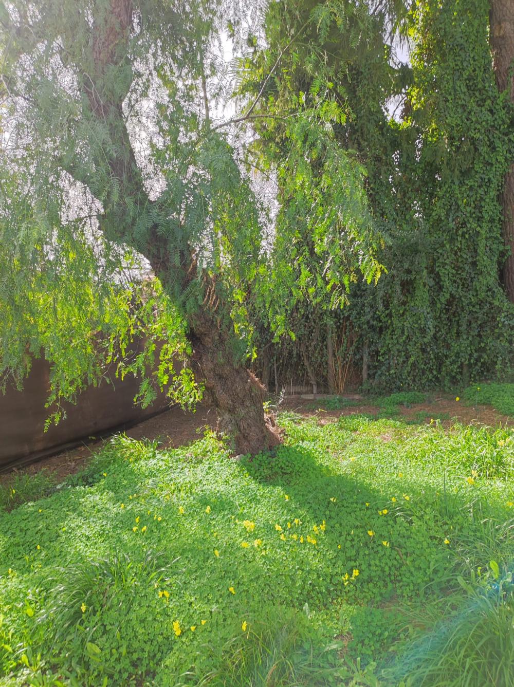  for sale villa Alcalá De Guadaira Metropolitana De Sevilla 3