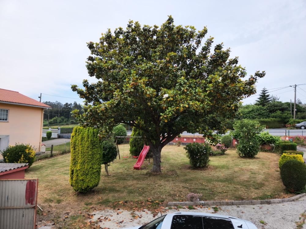  for sale house Cedeira Ferrol 6