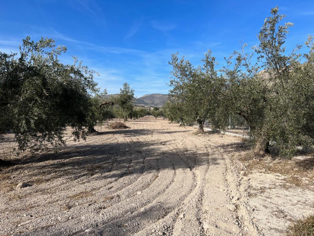  for sale villa Vélez Blanco Comarca De Los Vélez 21