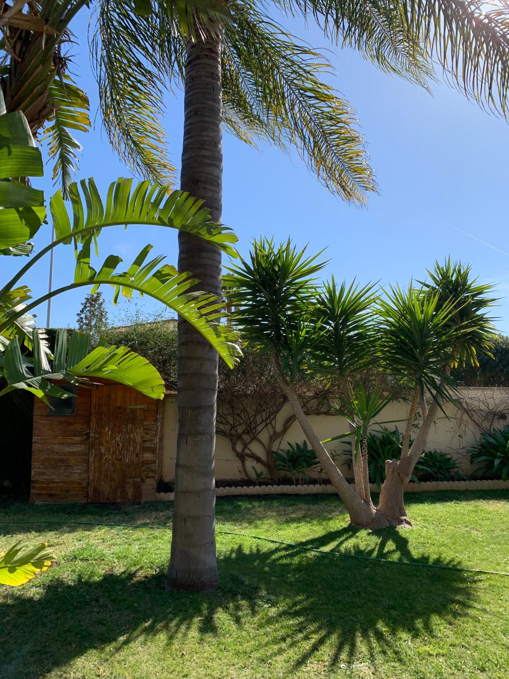  for sale villa San Antonio De Benagéber Camp De Túria 127
