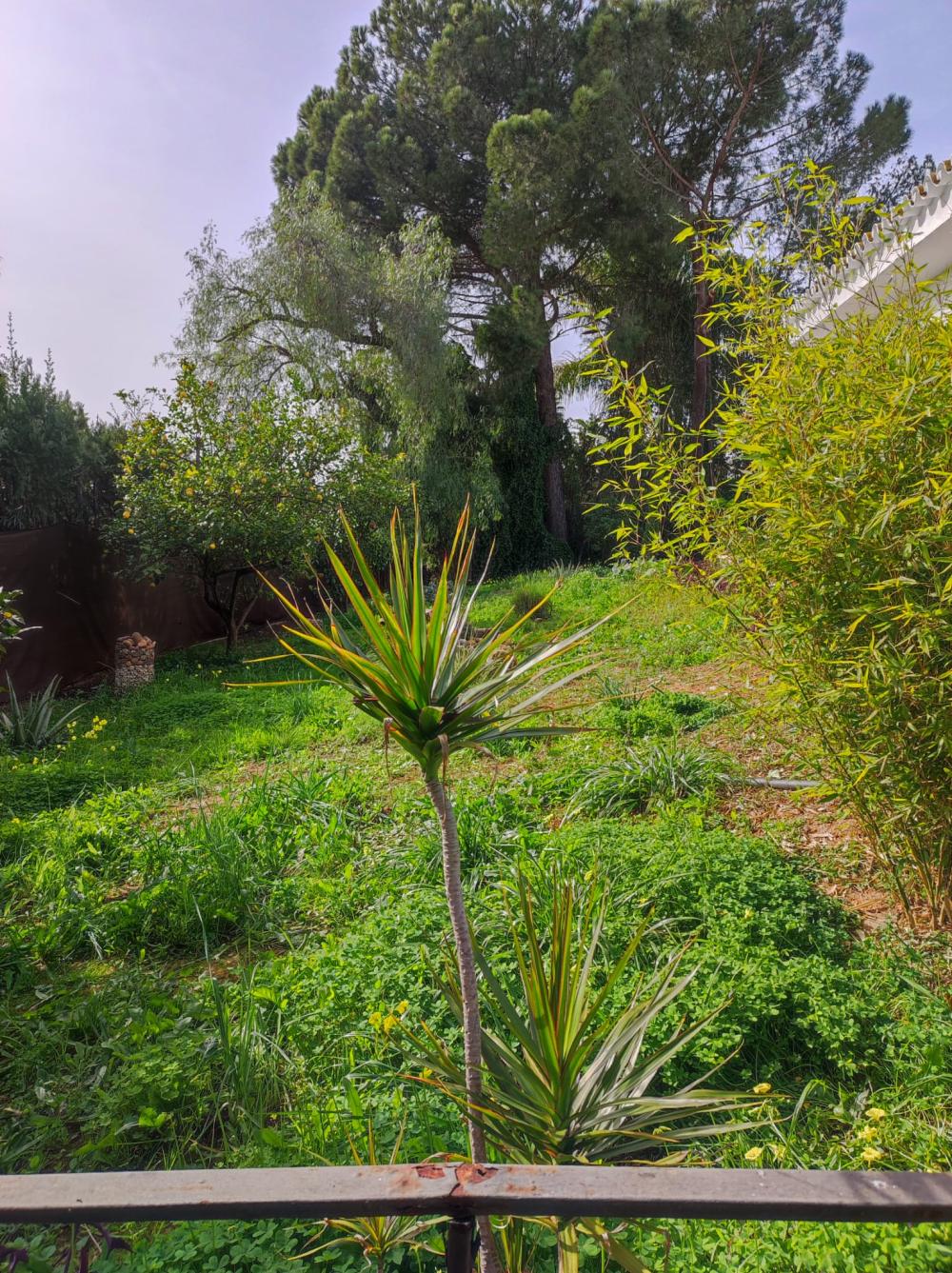  for sale villa Alcalá De Guadaira Metropolitana De Sevilla 4