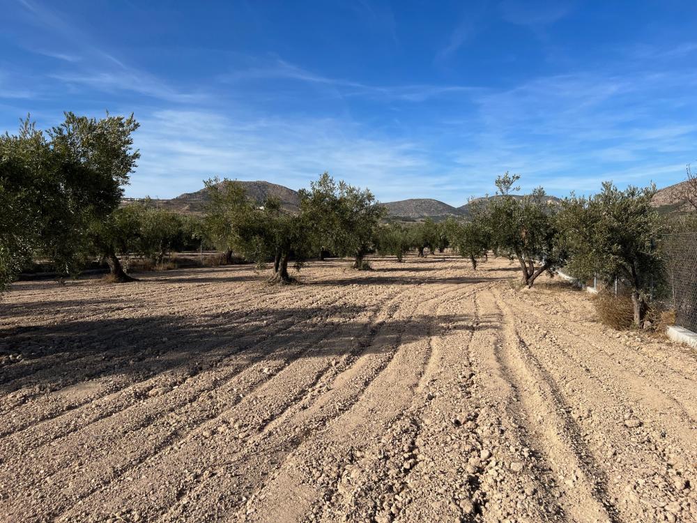  for sale villa Vélez Blanco Comarca De Los Vélez 20