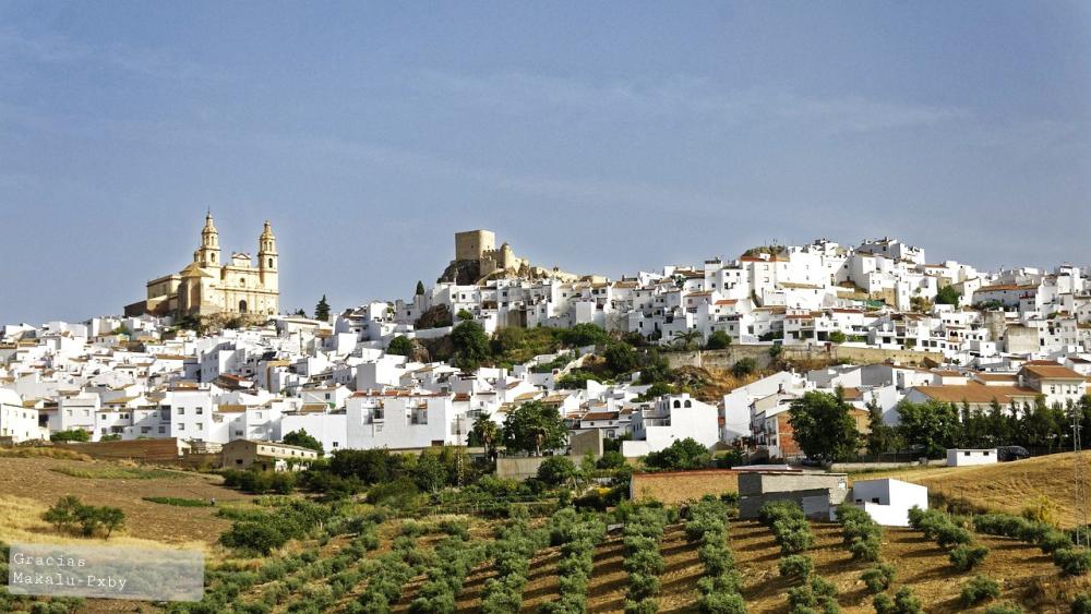  for sale country house Pruna Sierra Sur 13