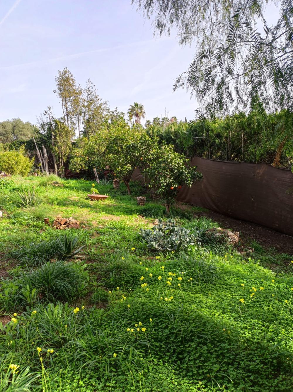 for sale villa Alcalá De Guadaira Metropolitana De Sevilla 13