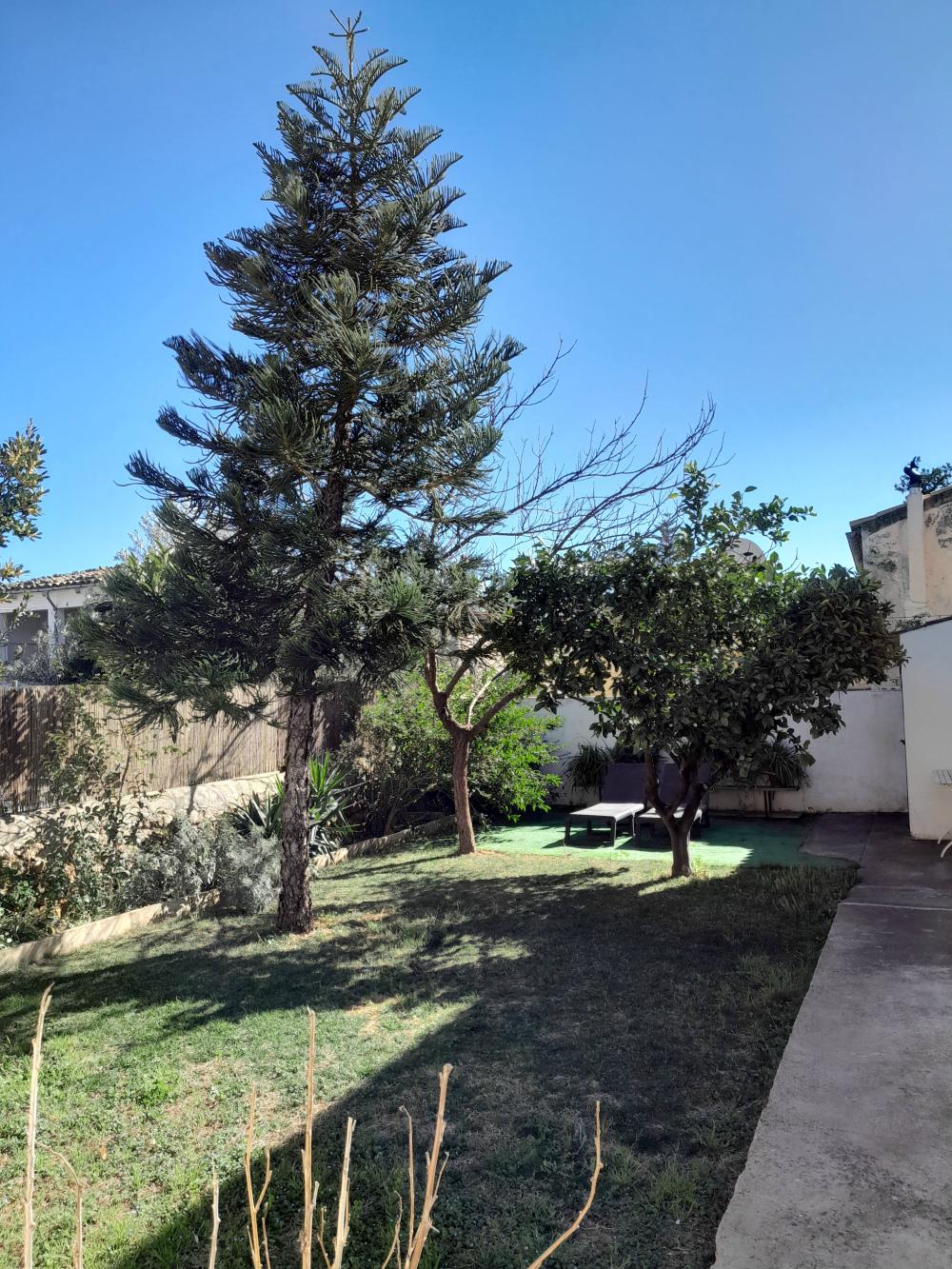  for sale house Alaró Raiguer 19
