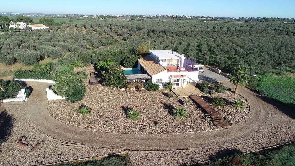  for sale country house Aznalcázar Aljarafe 22
