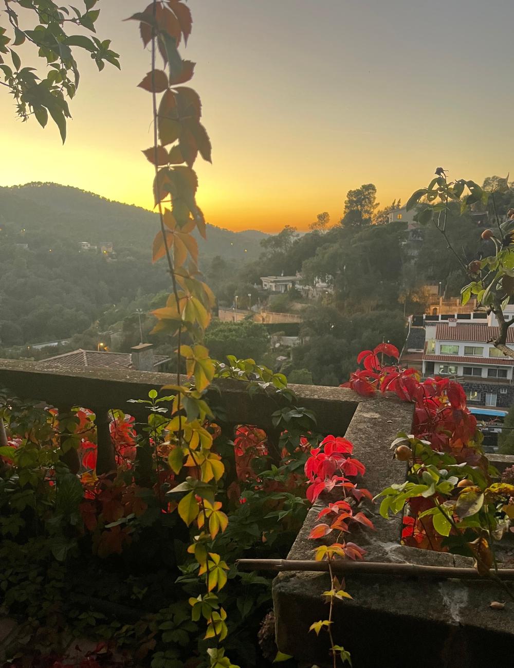  for sale house Sarrià-Sant Gervasi-Vallvidrera-Tibidabo-Les Planes Barcelonès 30