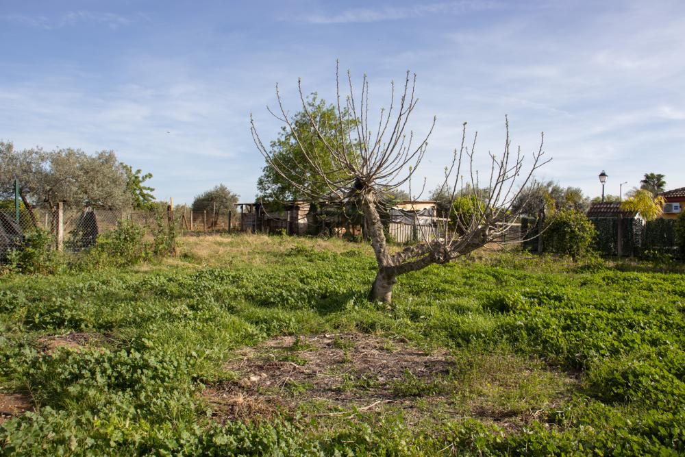  for sale villa Alcalá De Guadaira Metropolitana De Sevilla 28