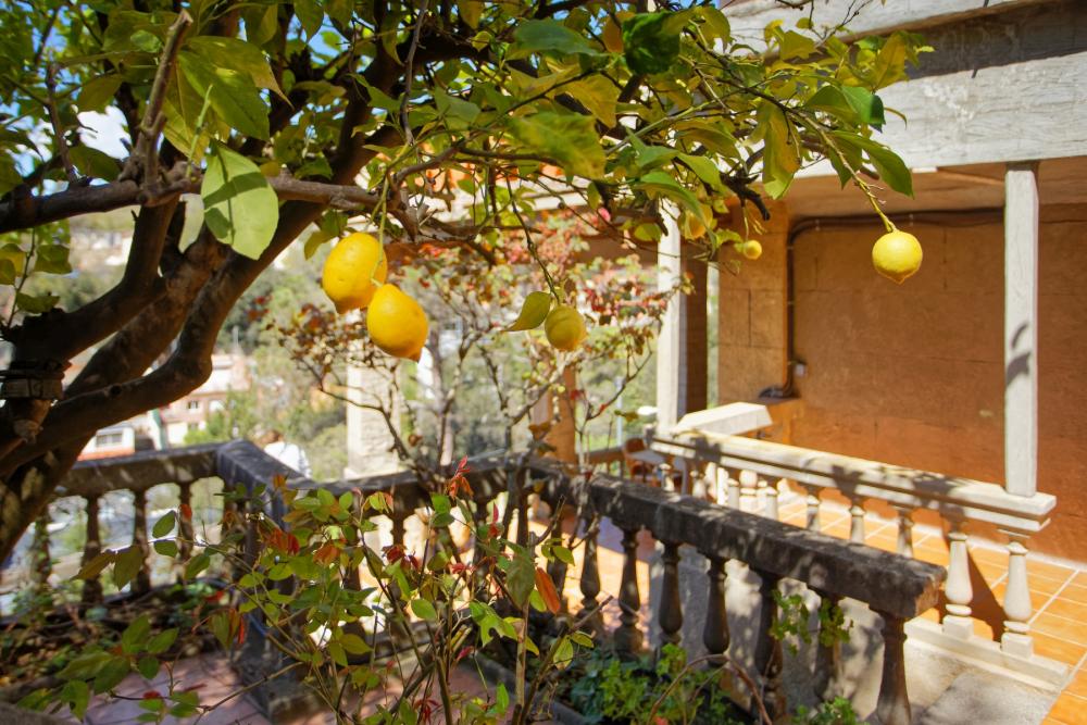 for sale house Sarrià-Sant Gervasi-Vallvidrera-Tibidabo-Les Planes Barcelonès 28