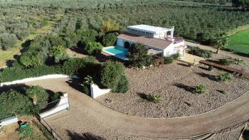Aznalcázar Aljarafe country house foto 5869511
