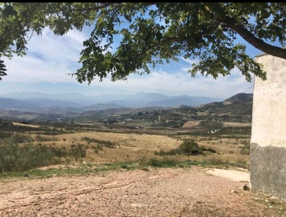  for sale country house Villanueva De La Concepción Antequera 5