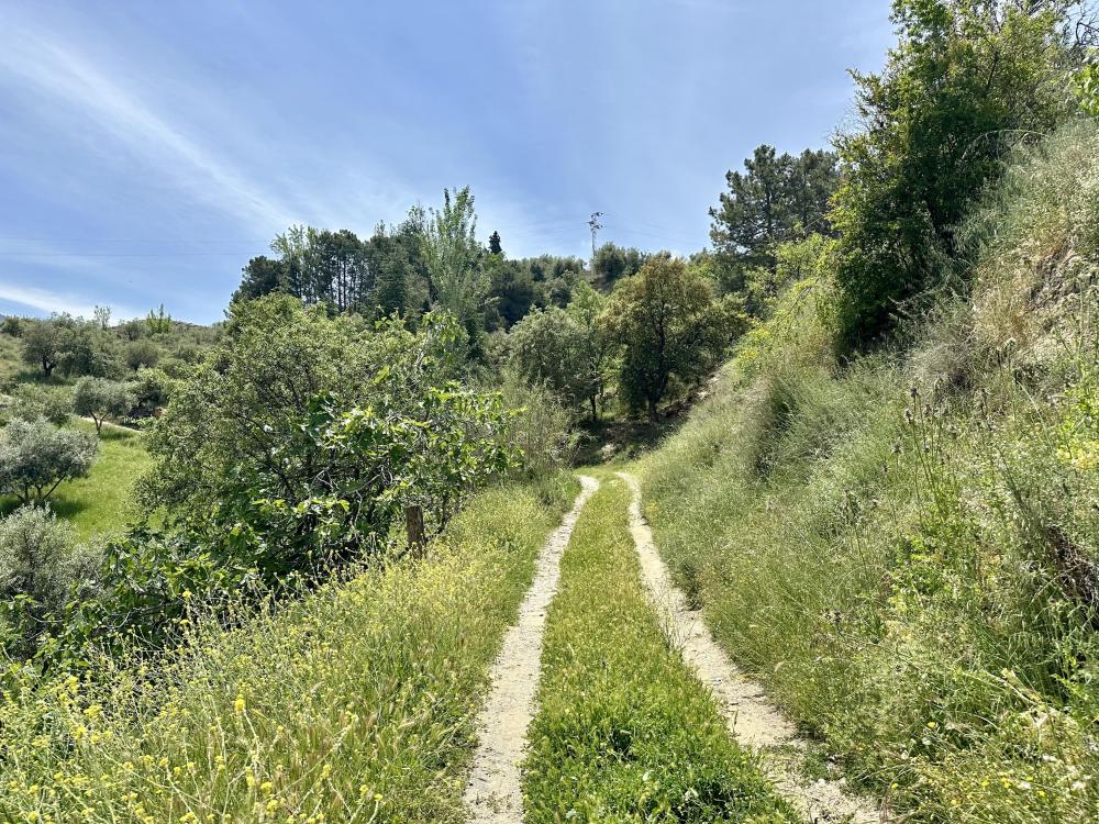  for sale country house Monachil Vega De Granada 27