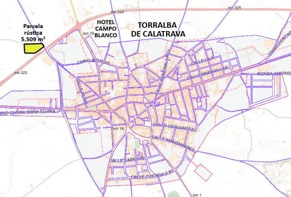  for sale plot Torralba De Calatrava Campo De Calatrava 3