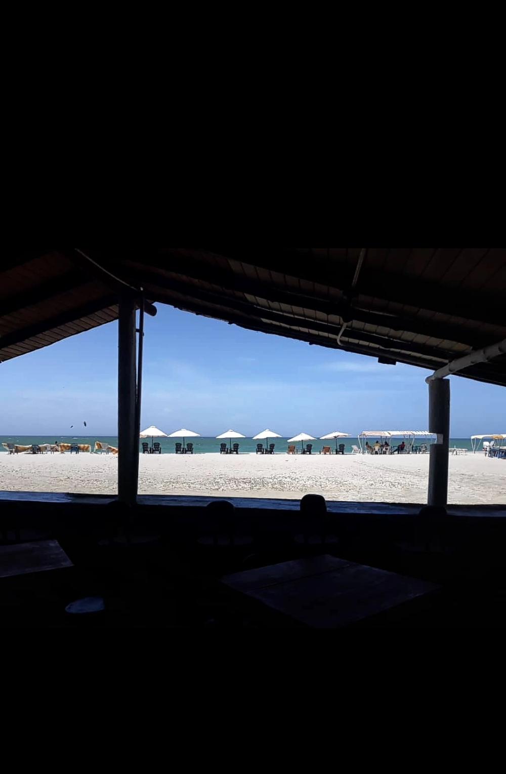  for sale commercial premise Albeos Paradanta 5