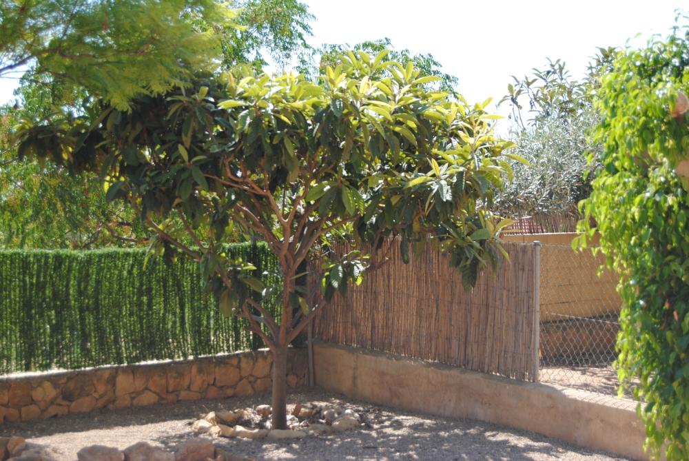  for sale semi-detached house Alfaz Del Pi Marina Baixa 8