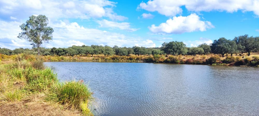  for sale country house Santa Olalla Del Cala Sierra De Huelva 2