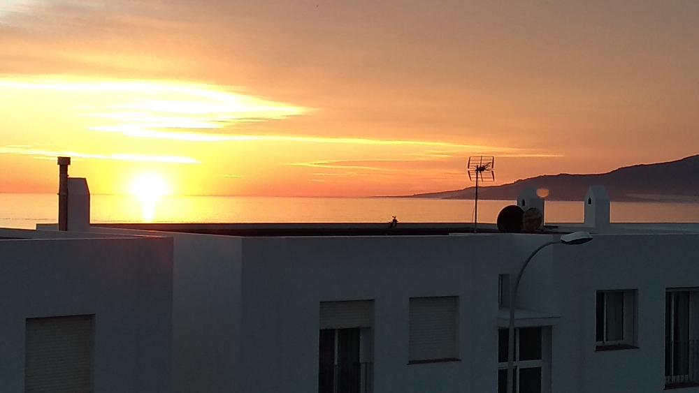  for sale terraced house Tarifa Campo De Gibraltar 15