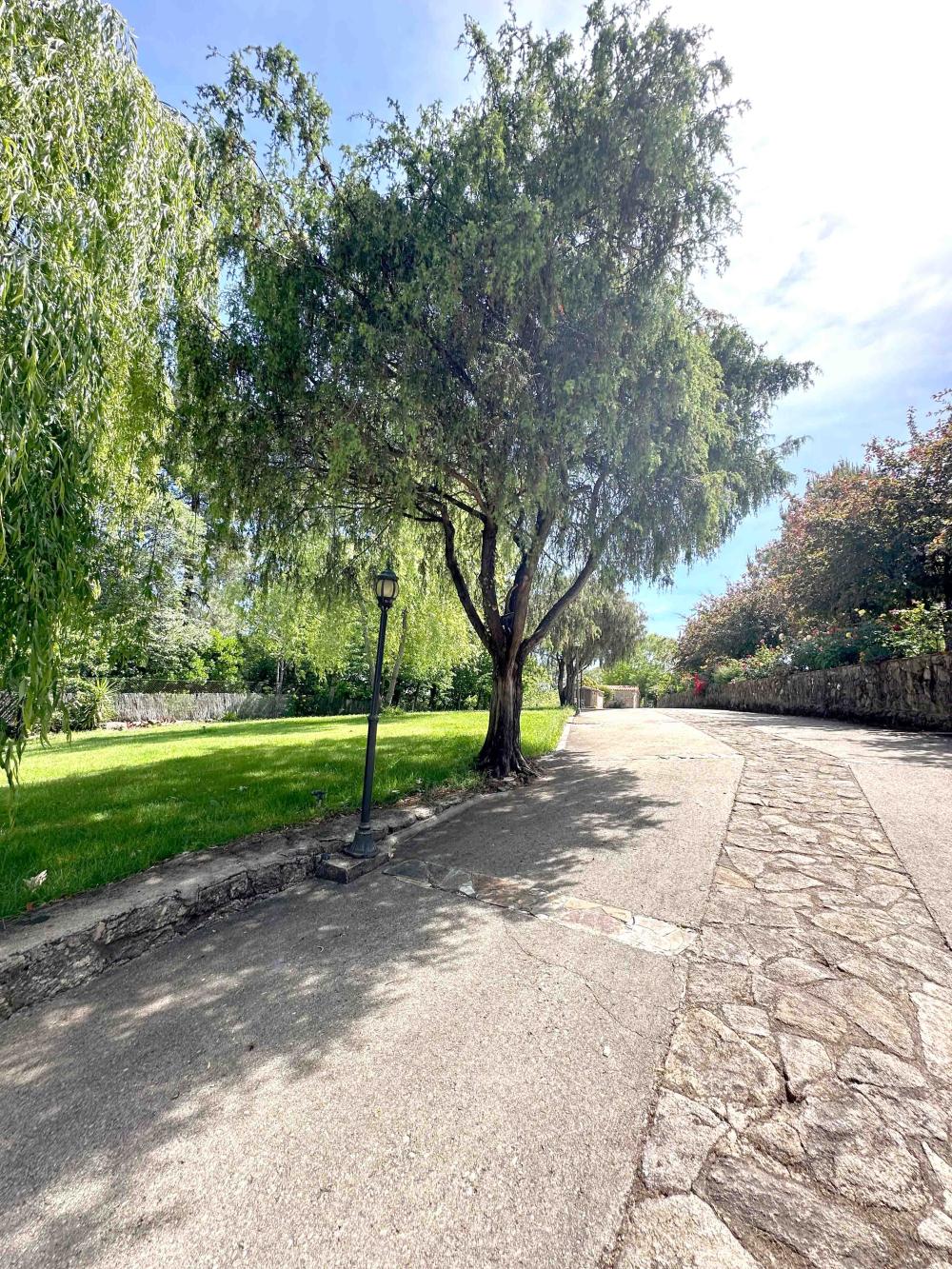  for sale country house Villanueva De La Vera La Vera 6