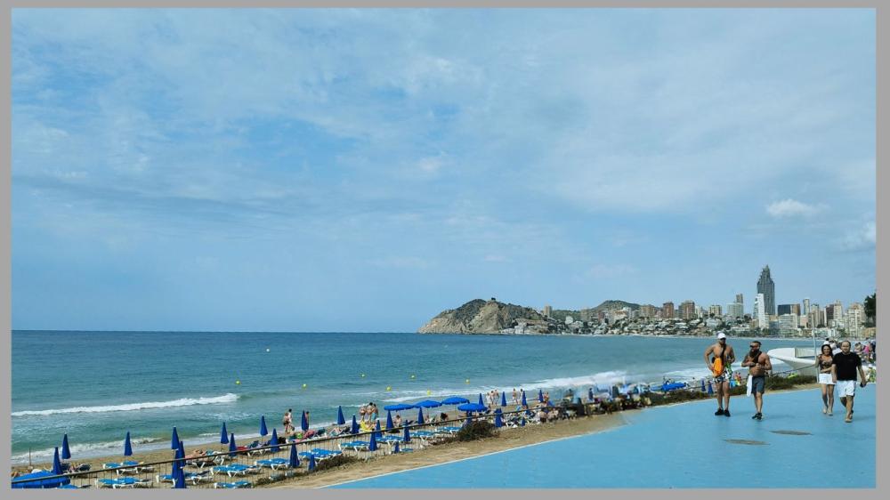  for sale commercial Poniente Marina Baixa 5