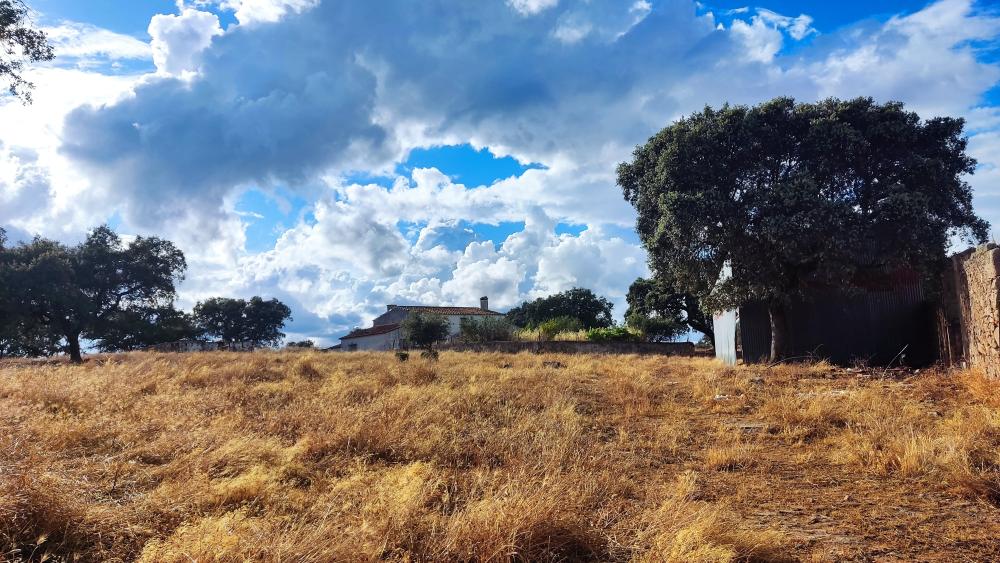 for sale country house Santa Olalla Del Cala Sierra De Huelva 5