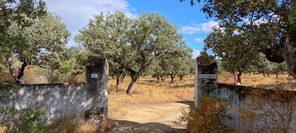 for sale country house Santa Olalla Del Cala Sierra De Huelva 1