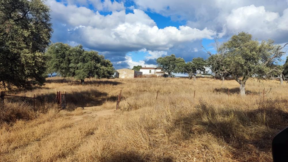  for sale country house Santa Olalla Del Cala Sierra De Huelva 8