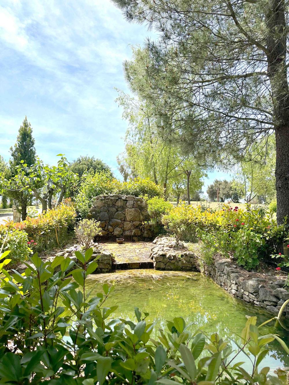  for sale country house Villanueva De La Vera La Vera 20