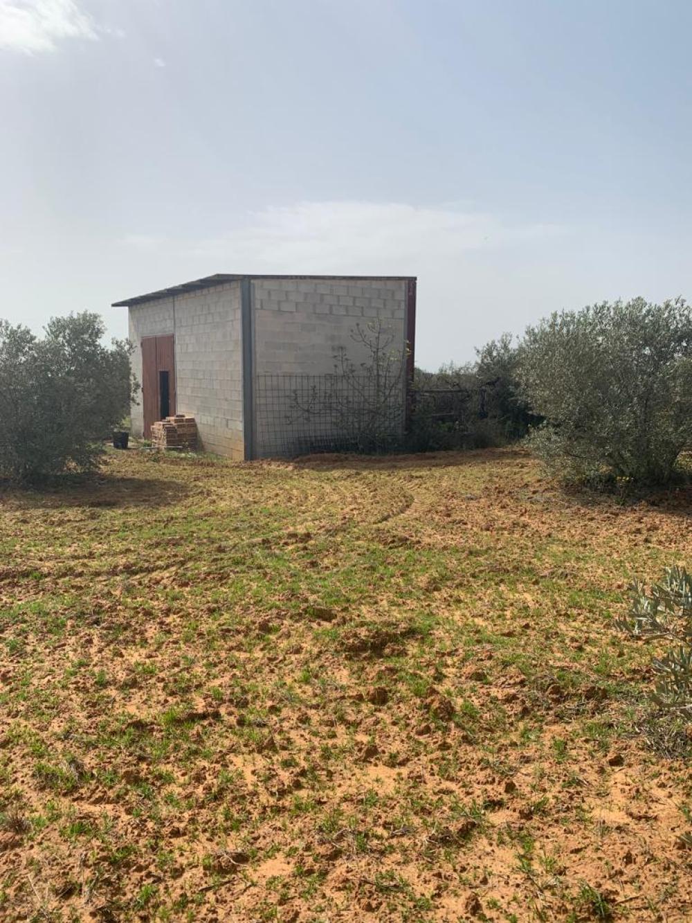  for sale country house Hinojos Condado (El) 2
