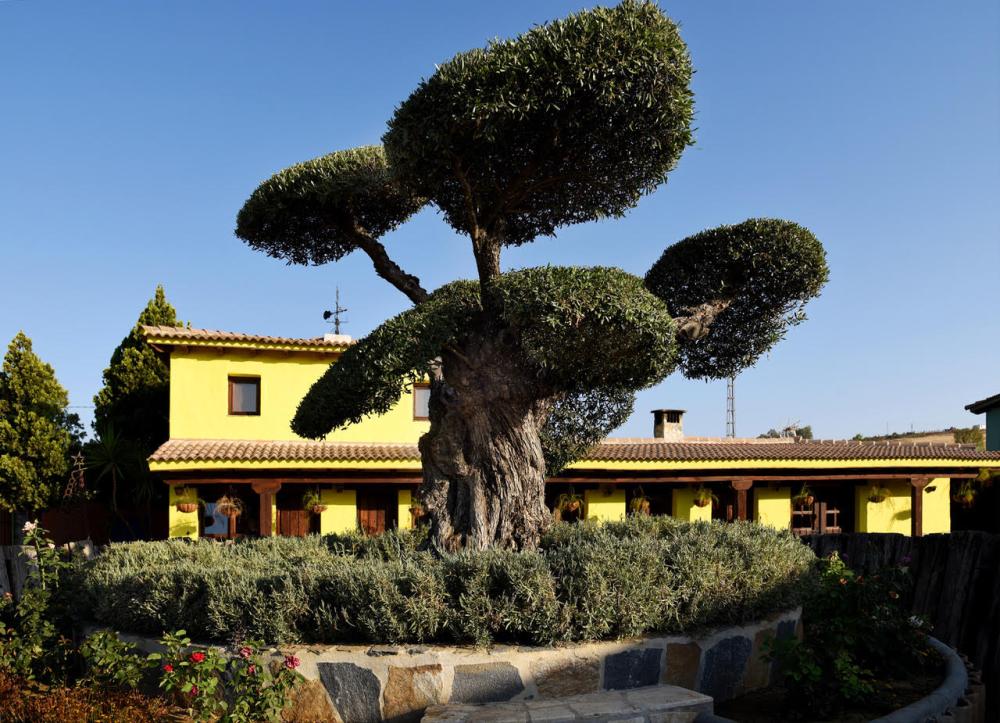  for sale country house Coín Valle Del Guadalhorce 14