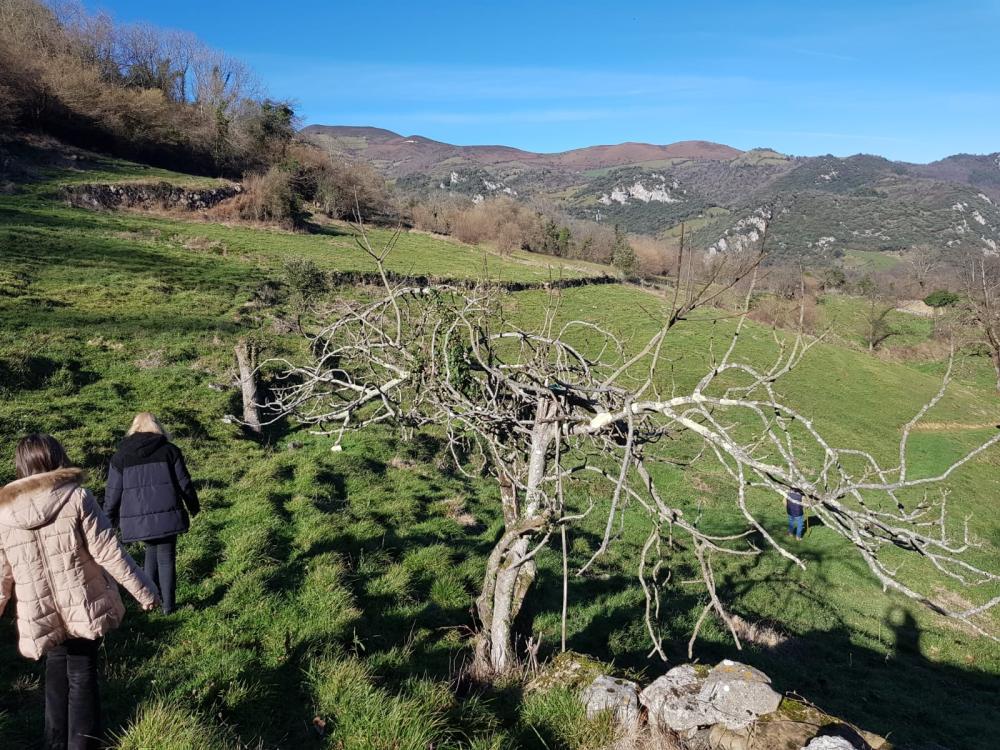  for sale country house Proaza Oviedo 4