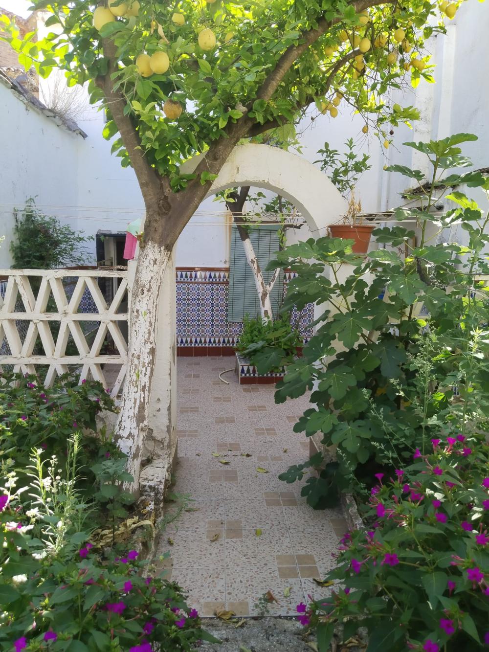  for sale house Guadalcanal Sierra Norte 51