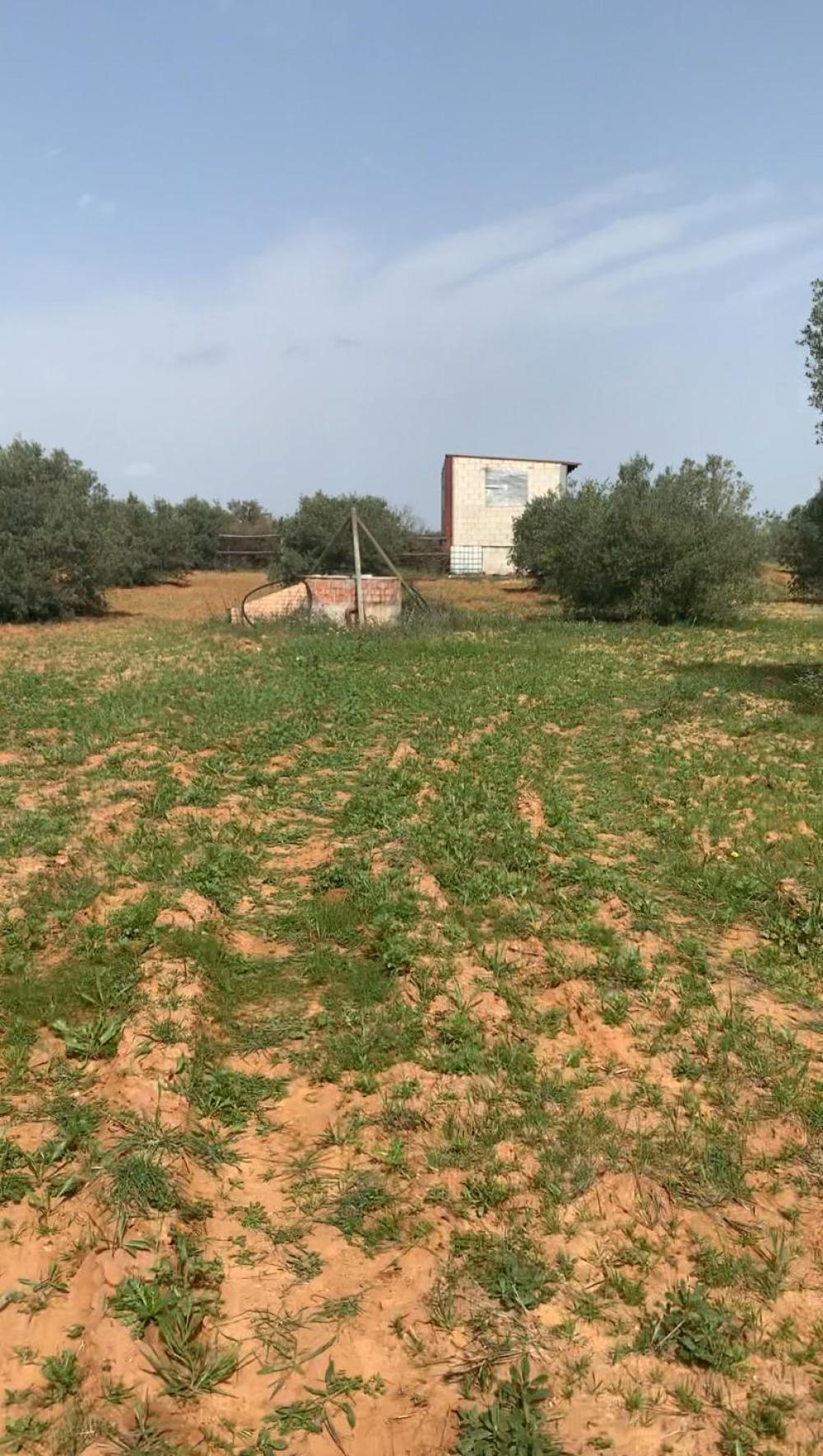  for sale country house Hinojos Condado (El) 1