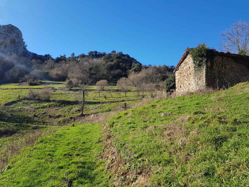  for sale country house Proaza Oviedo 3