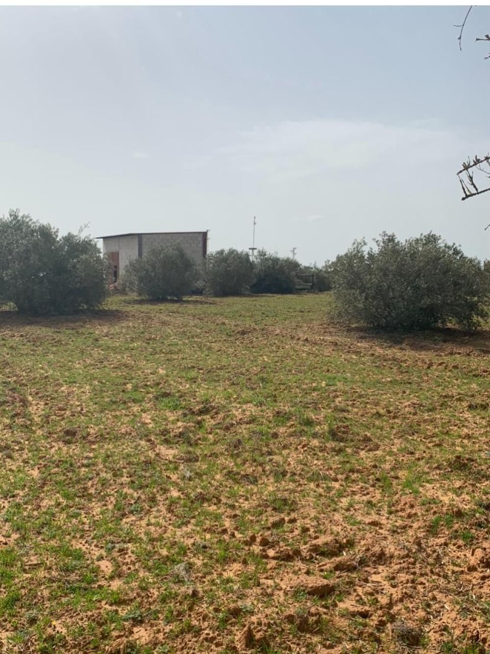  for sale country house Hinojos Condado (El) 4