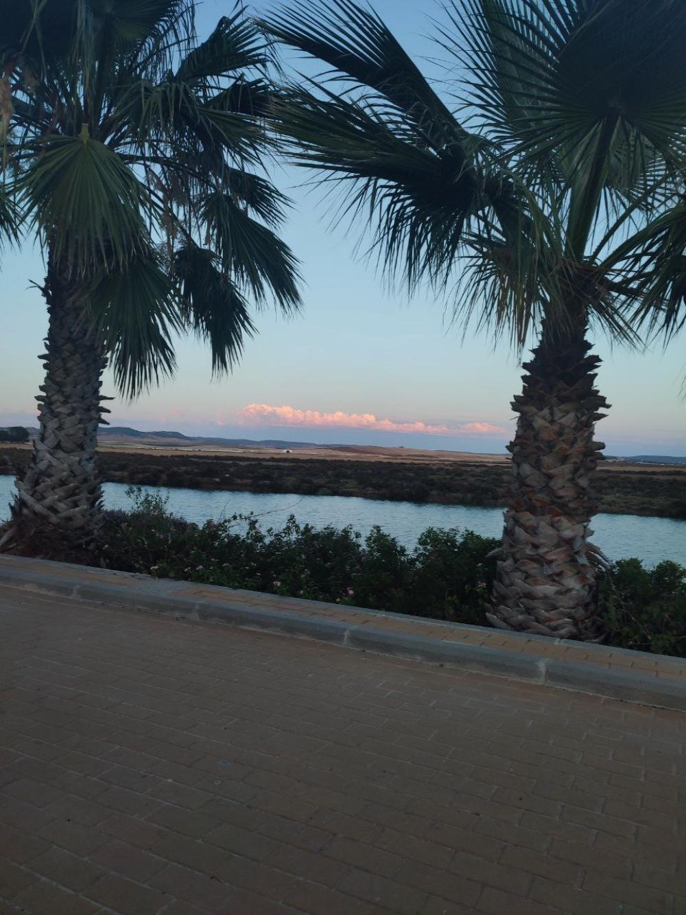  for sale house Conil De La Frontera Janda (La) 20