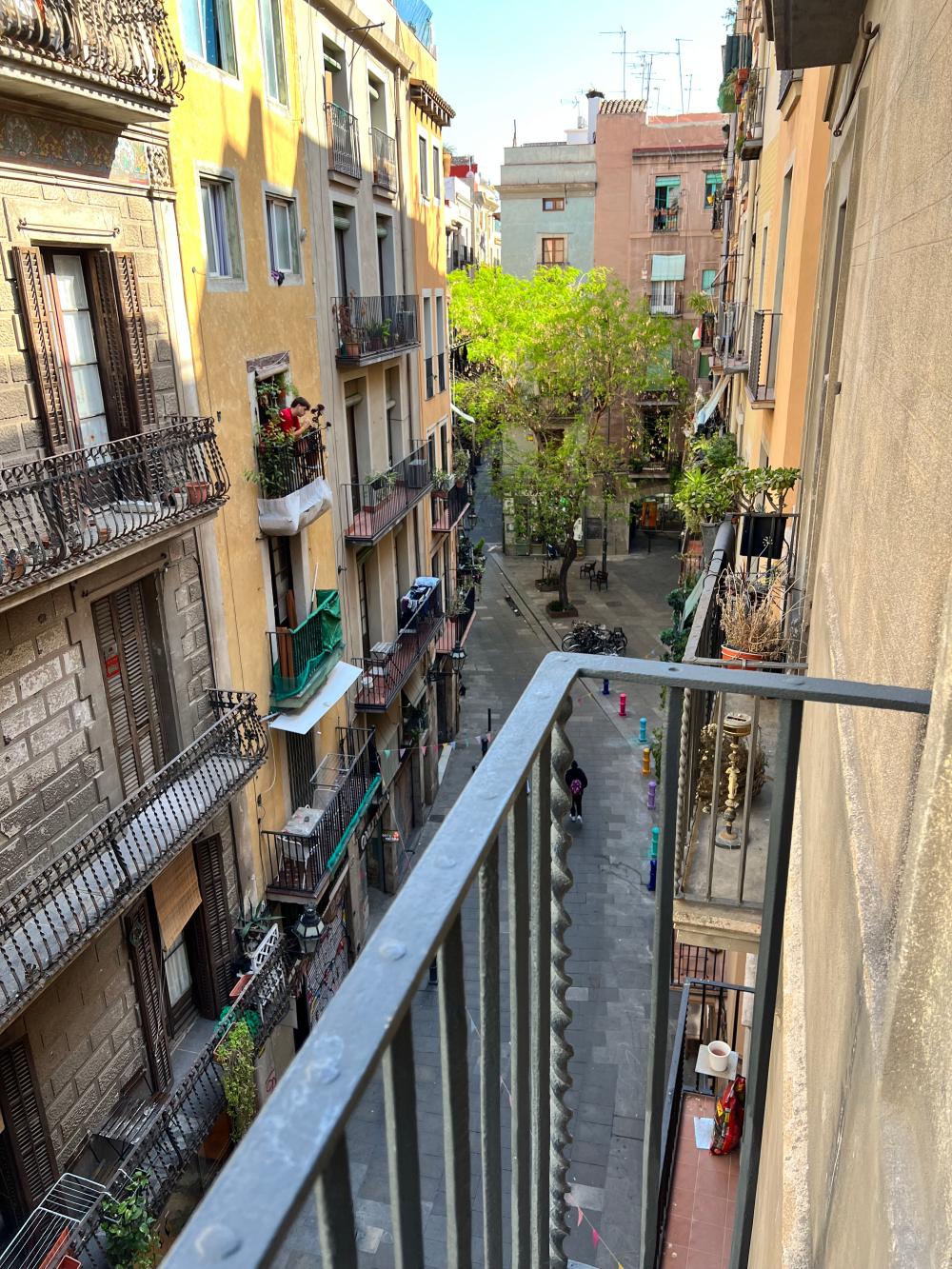  for sale apartment Ciutat Vella-Sant Pere-Santa Caterina-El Born Barcelonès 5