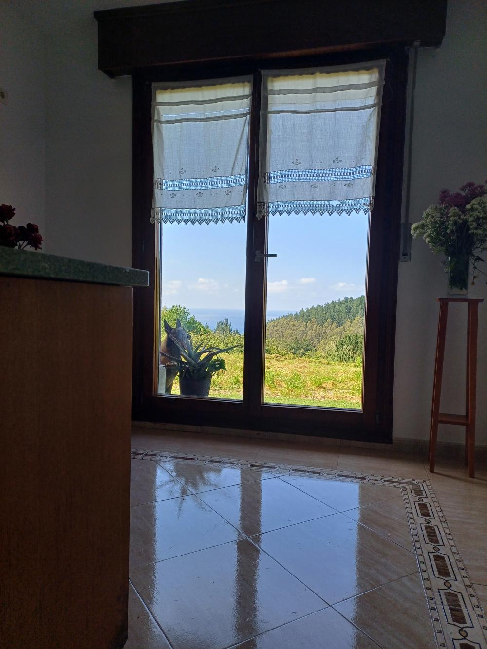  for sale villa Asterrika Lea-Artibai 12