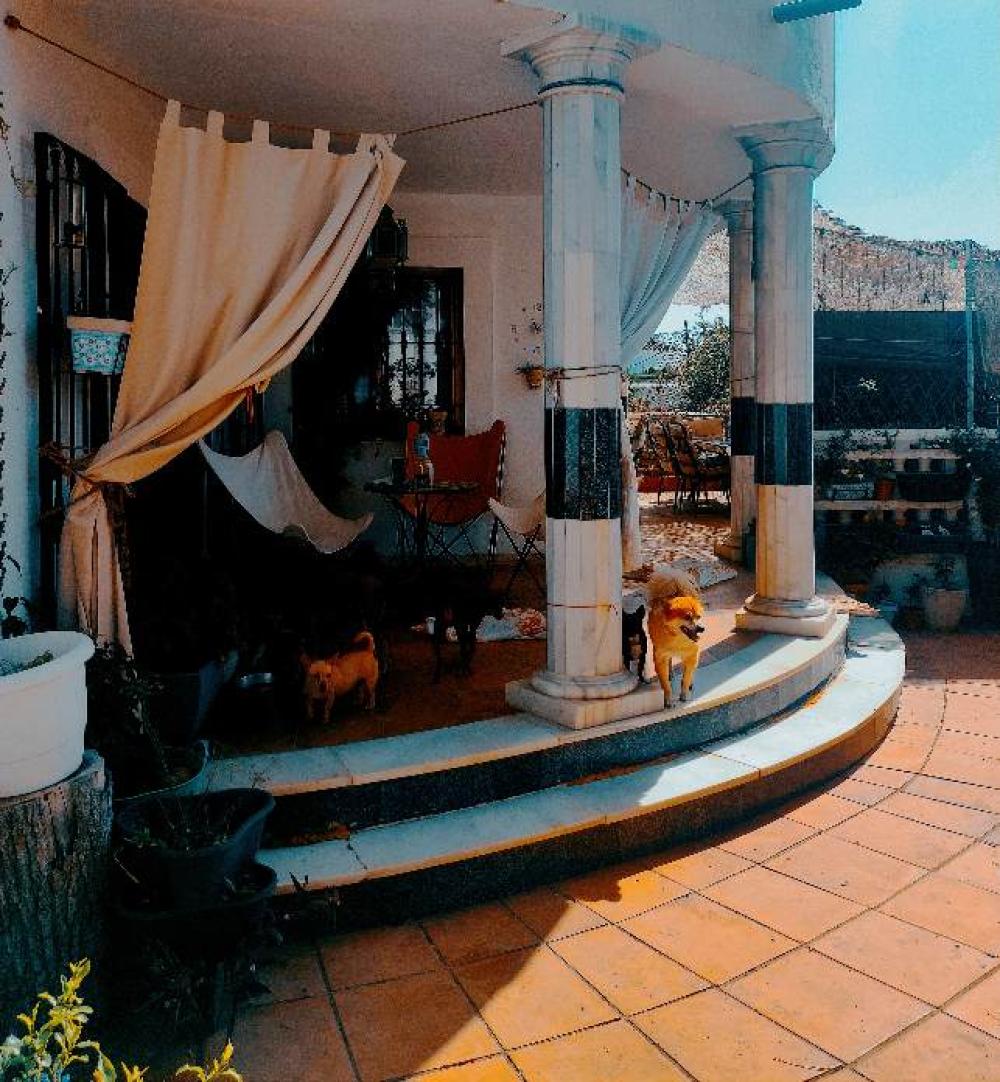  for sale villa Estepona Costa Del Sol Occidental 14