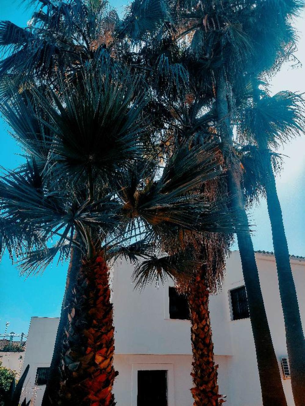  for sale villa Estepona Costa Del Sol Occidental 2
