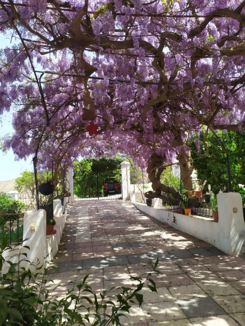  for sale house Terque Alpujarra Almeriense 1