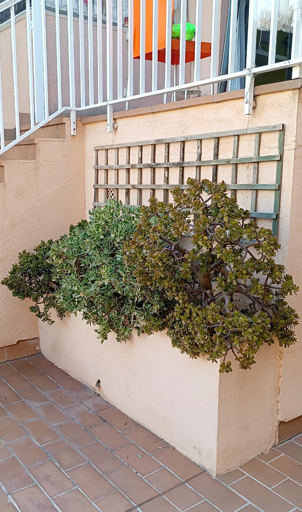  for sale duplex La Bonanova Palma 18
