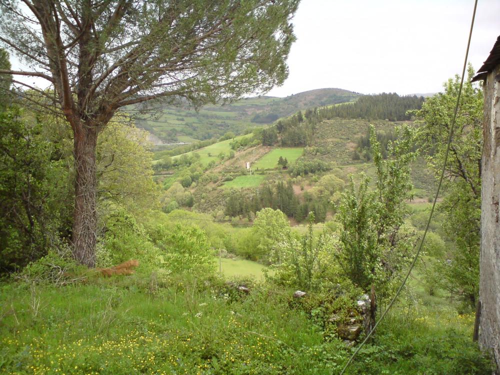  for sale house As Nogais Ancares 6