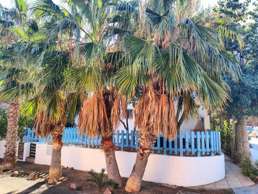  for sale semi-detached house Rodalquilar Comarca Metropolitana De Almería 4