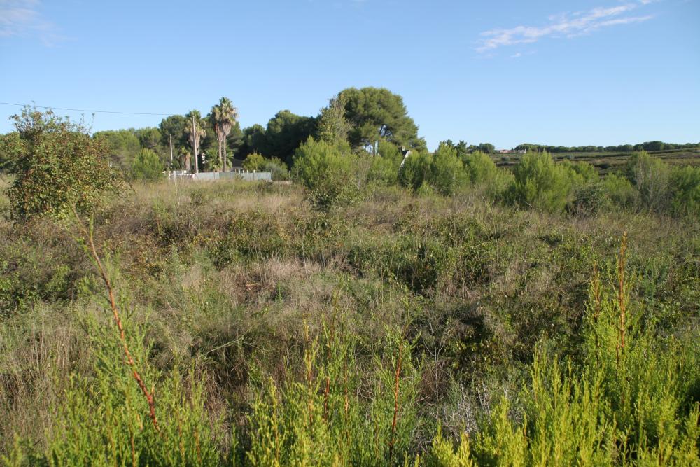  for sale villa Godelleta Hoya De Buñol 9