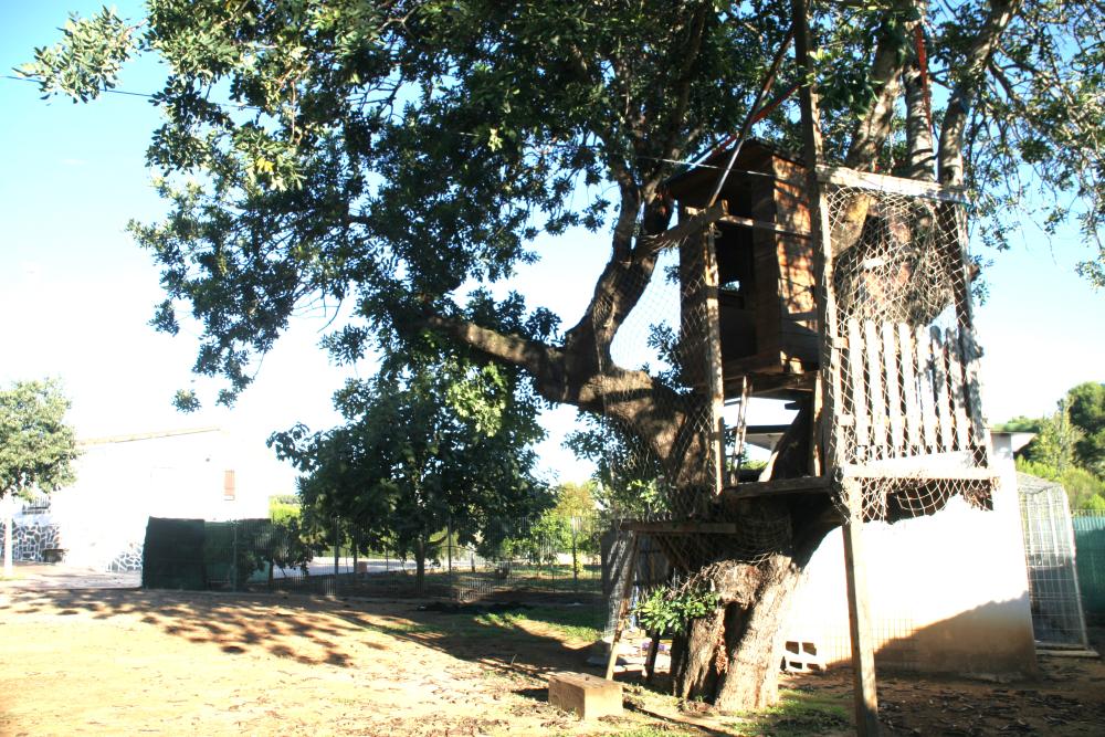  for sale villa Godelleta Hoya De Buñol 6