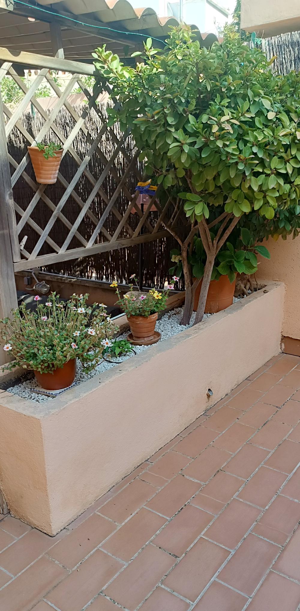  for sale duplex La Bonanova Palma 22
