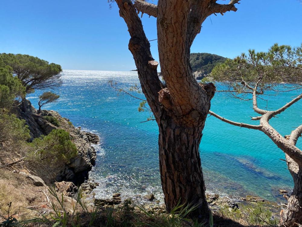  for sale apartment Cala Margarida Baix Empordà 15
