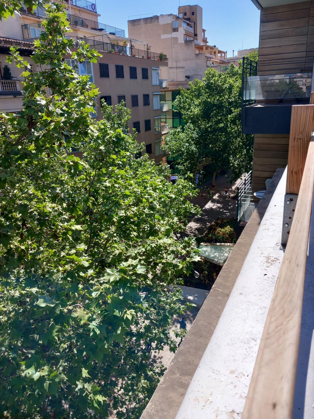 for sale penthouse Aragón-Pere Garau-Católicos Palma 3